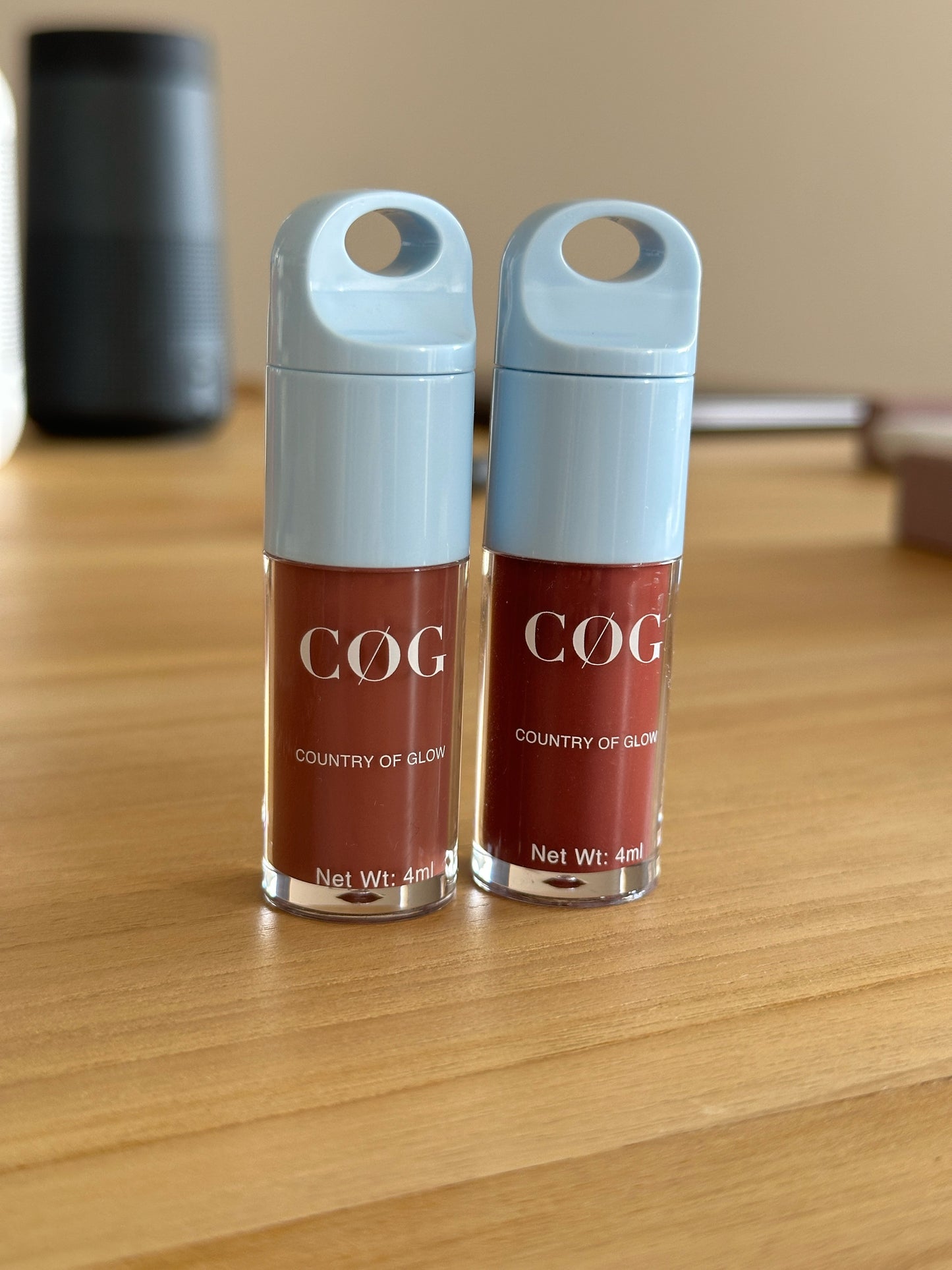 Lip Glaze - L'art du Pout